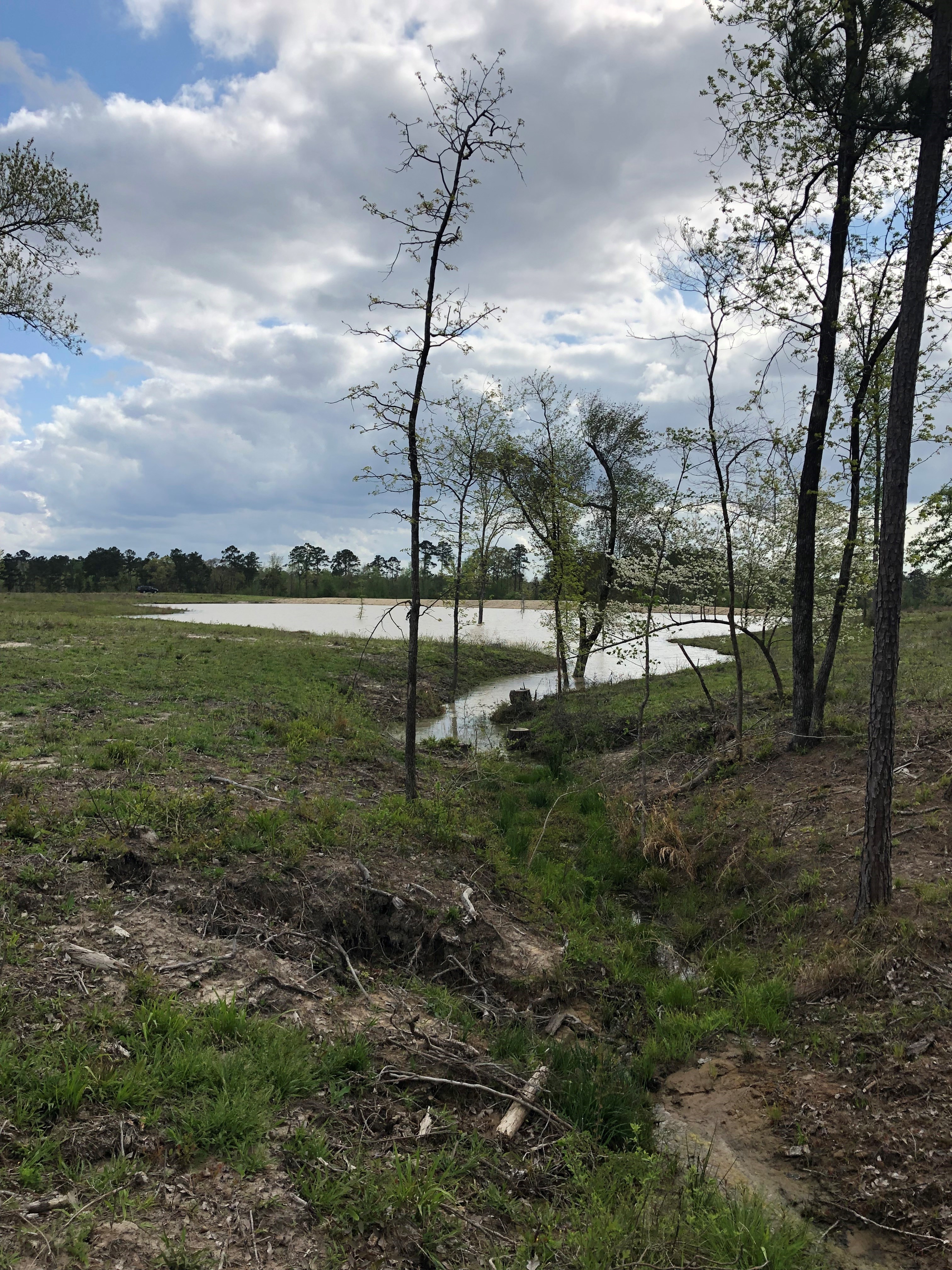 headwaters stream pond